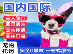 六盘水月照航空快运国际宠物托运 【国